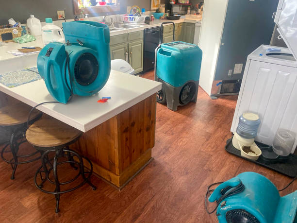 Best Basement water damage restoration  in La Mirada, CA
