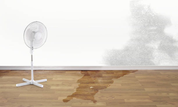 Best Flood restoration services  in La Mirada, CA