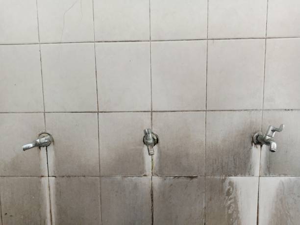 Best Sewage cleanup and water damage restoration  in La Mirada, CA
