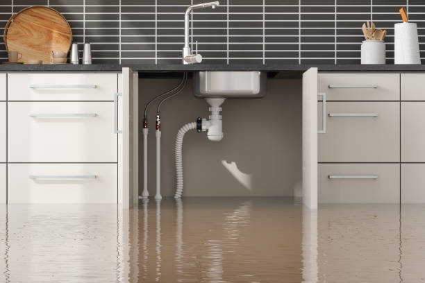Best Water damage restoration near me  in La Mirada, CA